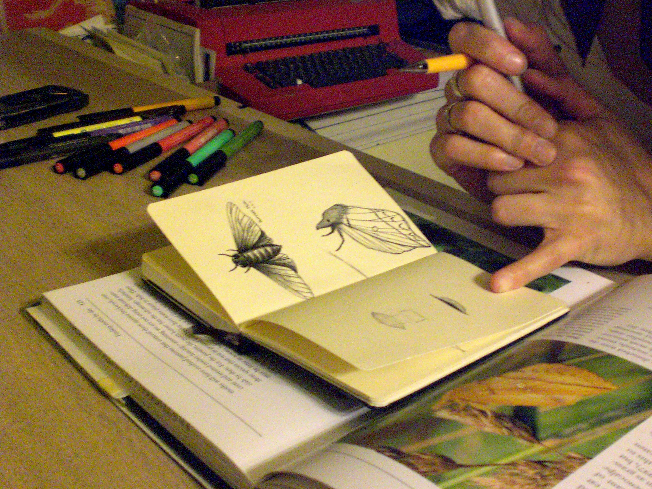 Christina Lafontaine drawing some moths at the IPRC in 2009