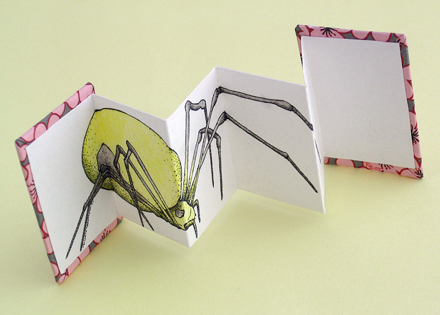 Spider Miniature Accordion Book made by Ruth Bleakley and Christina Lafontaine | The spider spreads across five of the six inside panels