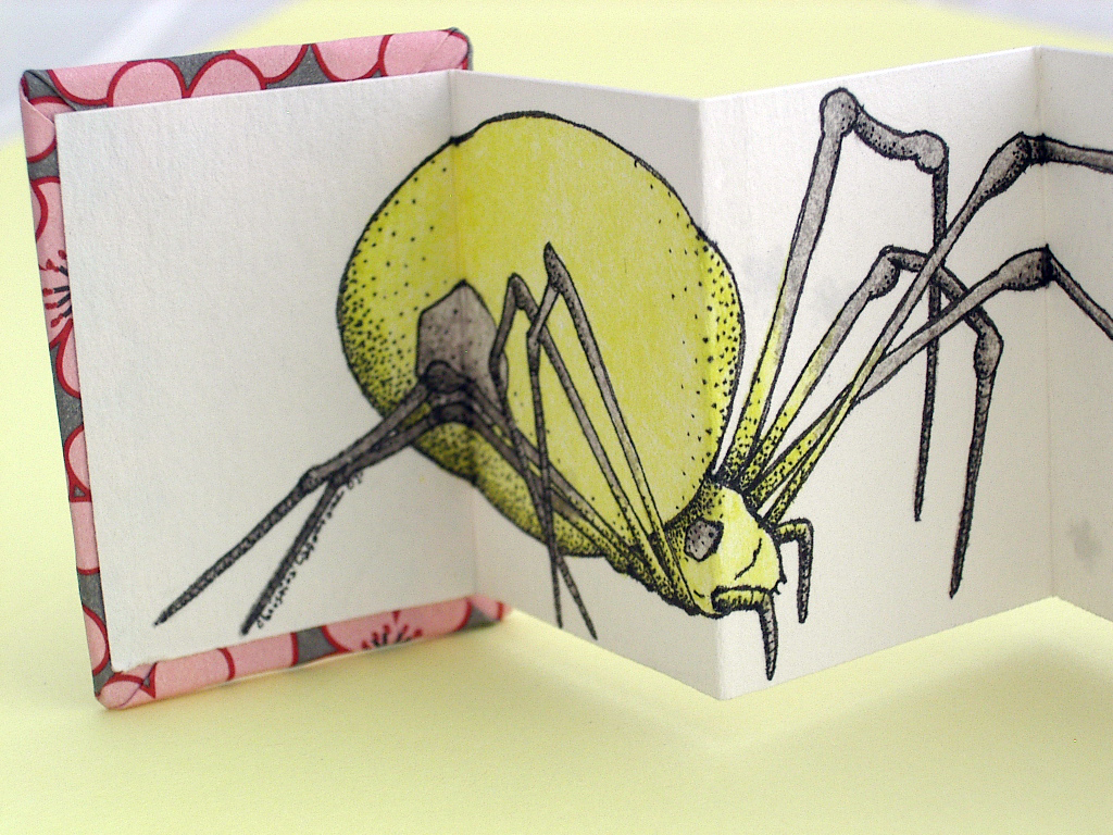 Spider Miniature Accordion Book made by Ruth Bleakley and Christina Lafontaine | You can see the detail really well here - Christina did all the shading in dots rather than crosshatching - very meticulous!