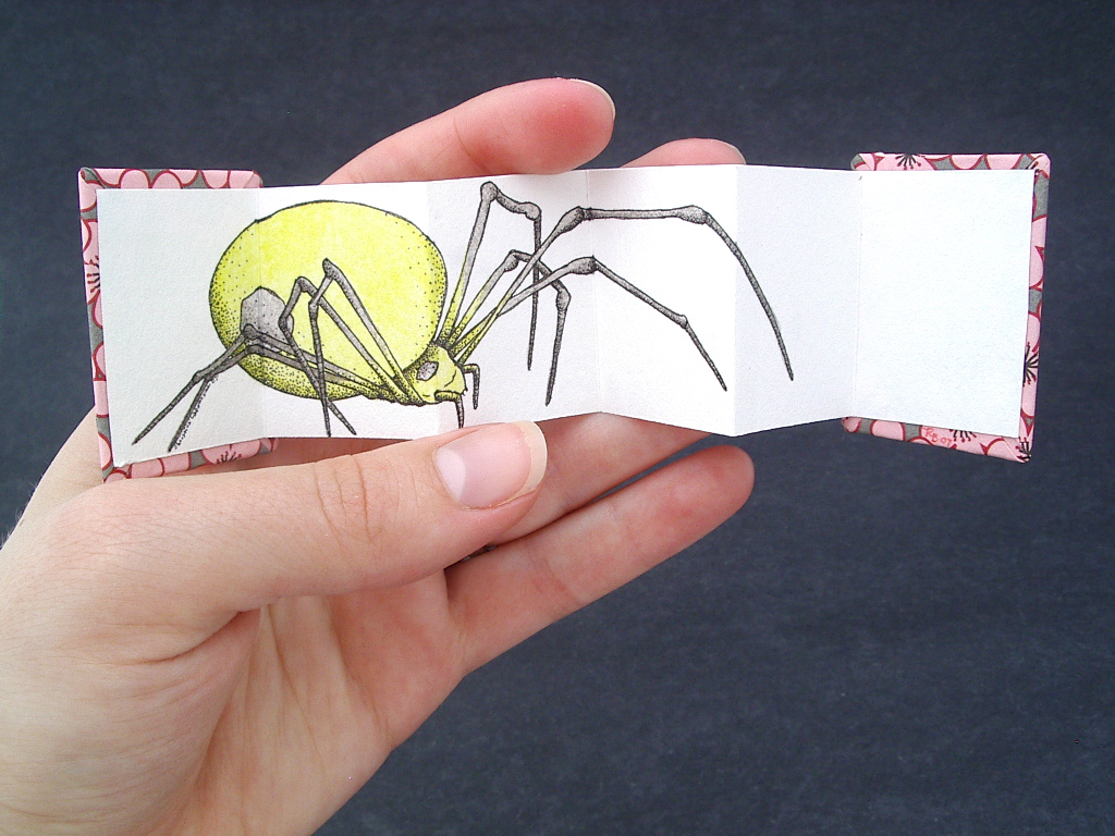 Handmade Spider book collaboration between Christina Lafontaine and Ruth Bleakley