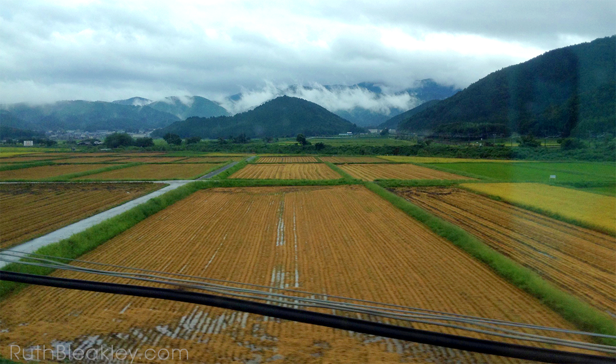 Japanese Countryside from the bullet train to Kyoto - book artist Ruth Bleakley travels to Japan