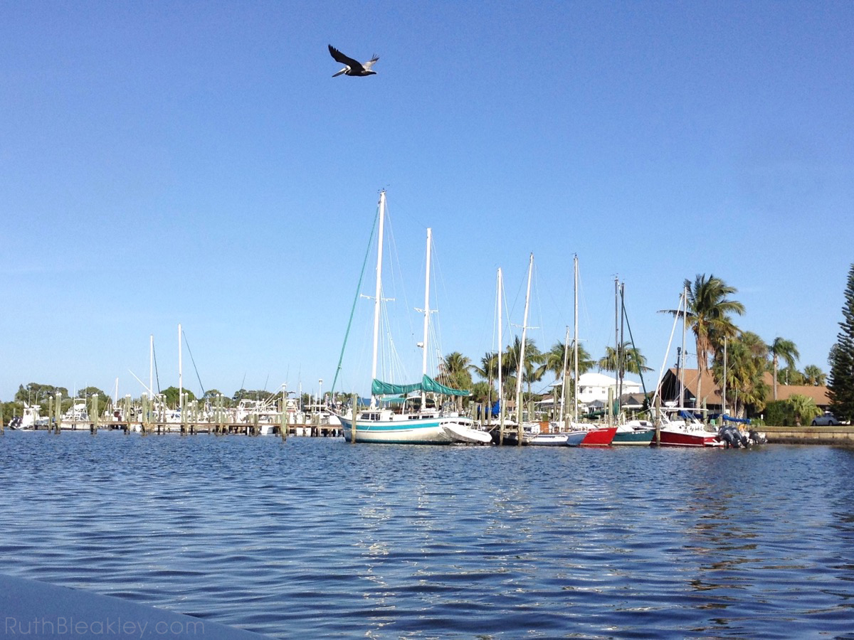 shibori workshop at Aya Fiber Studio in March in Stuart Florida - Manatee Cove